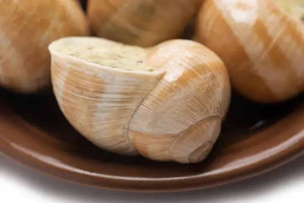 Naturaleza Muerta Salsa Caracol Relleno Sobre Fondo Blanco — Foto de Stock