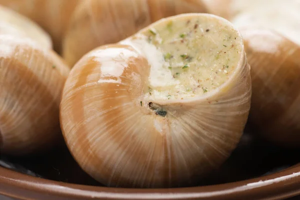 Stilleven Van Gevulde Slaksaus Een Witte Achtergrond — Stockfoto