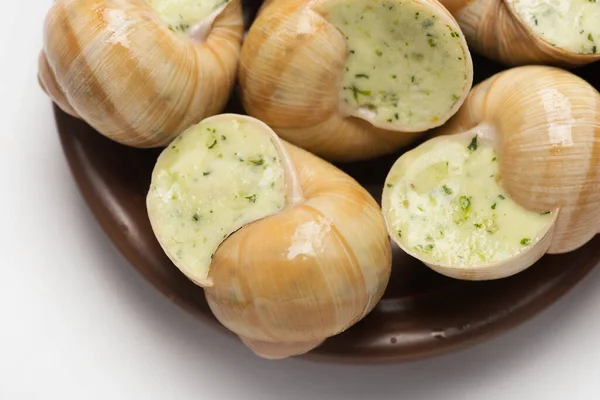 Still Life Stuffed Snail Sauce White Background — Stock Photo, Image