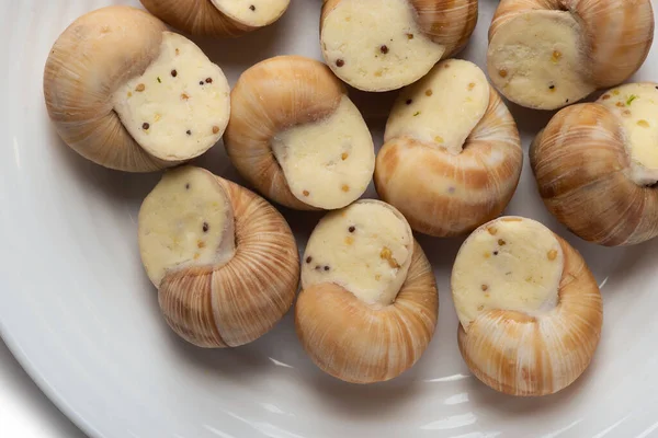 Naturaleza Muerta Salsa Caracol Relleno Sobre Fondo Blanco — Foto de Stock