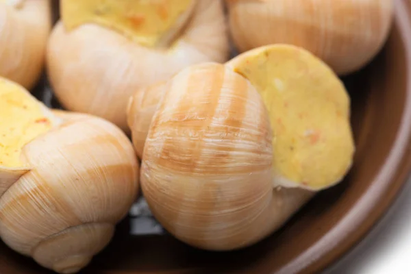 Stilleben Fyllda Snigel Sås Vit Bakgrund — Stockfoto