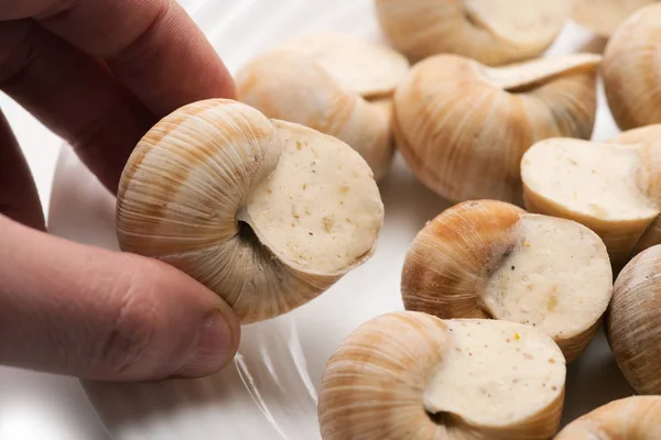 Hand Holds Snail Stuffed Sauce — Stock Photo, Image