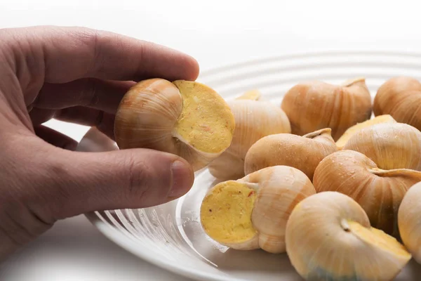 Hand Houdt Slak Gevuld Met Saus — Stockfoto