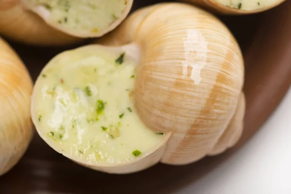 Naturaleza Muerta Salsa Caracol Relleno Sobre Fondo Blanco —  Fotos de Stock