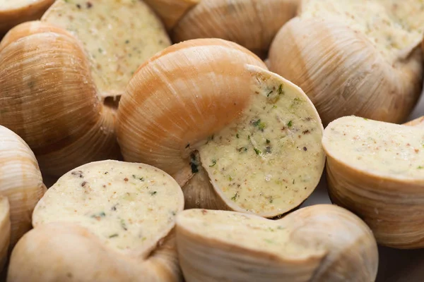 Naturaleza Muerta Salsa Caracol Relleno Sobre Fondo Blanco —  Fotos de Stock