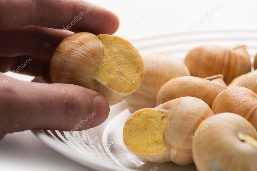 Hand holds snail stuffed with sauce