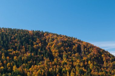 Sonbahar renkleri karışık orman hill tarafından bölünmüş gökyüzü