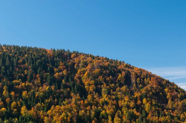 Sky Děleno Kopec Smíšeného Lesa Barvách Podzimu — Stock fotografie