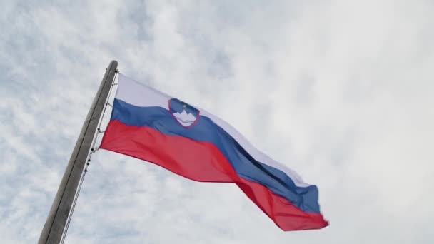 Slovenian Flag Pole Waving Wind 1080P — Stock Video