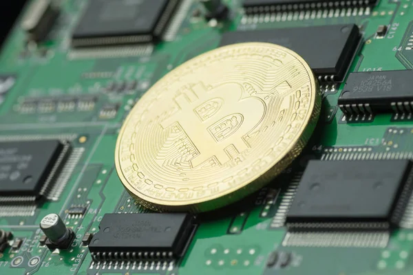 Mikroçip ile yeşil baskılı devre kartı üzerinde altın Bitcoin