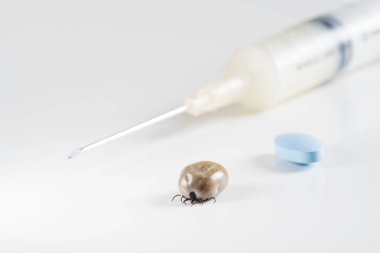 Engorged brown dog tick, syringe with vaccine and blue pill clipart