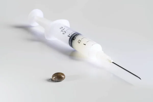 Kahverengi kene kan ve aşı şırınga ile tıkanmış