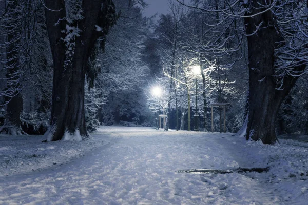 Wintry scene in a snow covered park at night with lit lampposts — Stock Photo, Image