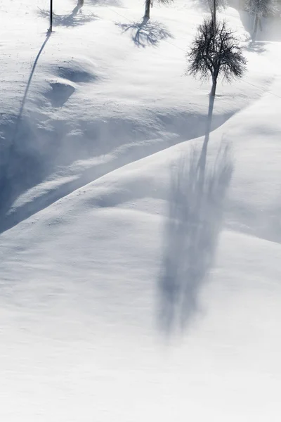 Detalle de la idílica escena invernal con árboles y largas sombras en la ladera —  Fotos de Stock