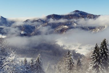 Karla kaplı güzel kış manzarası ve sabah sisli tepeler.