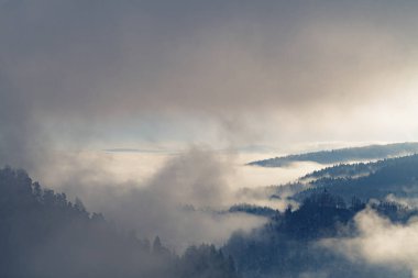 Idyllic kış manzarası sabah sisinde karla kaplı.