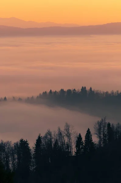 Vista de um vale no nevoeiro em uma bela manhã de inverno cedo — Fotografia de Stock