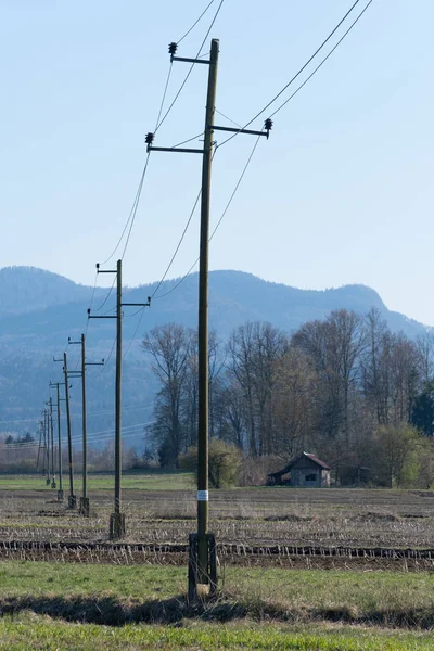 Old wooden three-phase electric utility poles transferring electricity over cultivated agricultural field. Electricity, power distribution and agriculture concepts