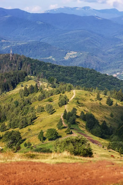 Bela paisagem da floresta montanhosa Os Cárpatos Ucrânia — Fotografia de Stock