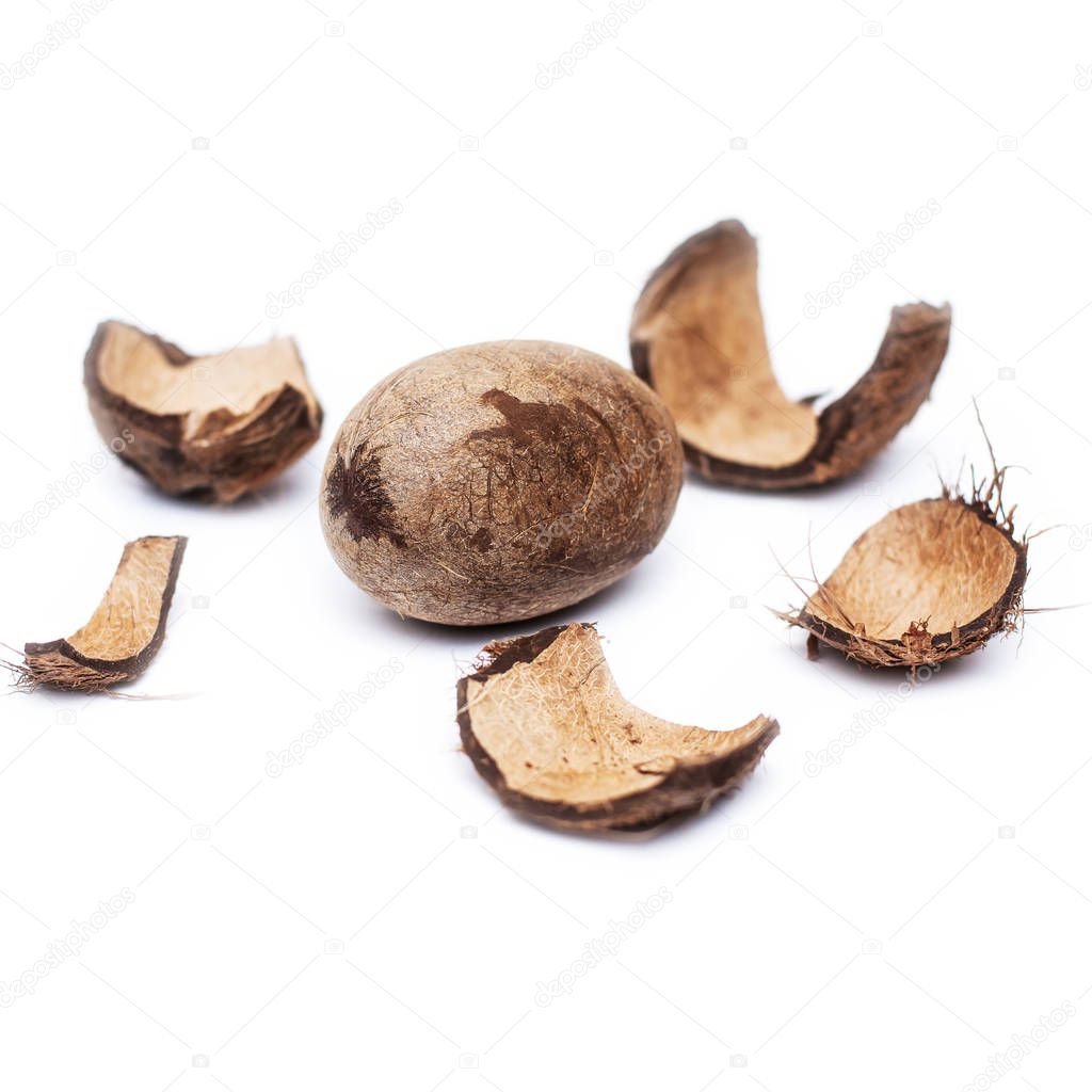 broken coconut on a white background