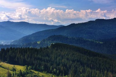 Yazın Karpat Dağları manzarası