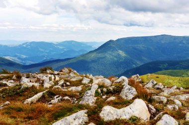 Yazın Karpat Dağları manzarası