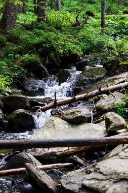 Karpat dağlarındaki dağ nehirleri