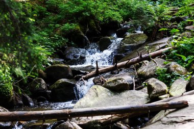 Karpat dağlarındaki dağ nehirleri