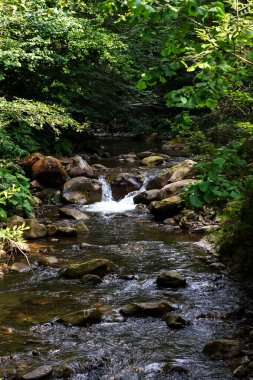 Karpat dağlarındaki dağ nehirleri