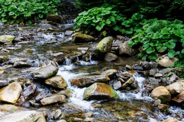 Karpat dağlarındaki dağ nehirleri