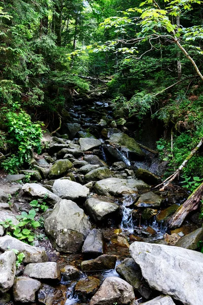 Rivières de montagne dans les montagnes des Carpates — Photo