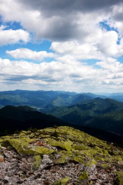 Yazın Karpat Dağları manzarası