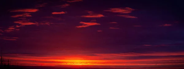 Dramática Madrugada Cidade Nascer Sol Primavera Fundo Panorâmico — Fotografia de Stock