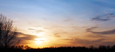 Ağaçların üzerinde muhteşem Panorama Günbatımı. Panoramik arkaplan duvar kağıdı