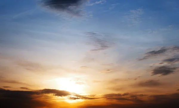 Splendido Panorama Tramonto Sugli Alberi Sfondo Panoramico Wallpapper — Foto Stock