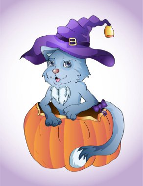 Kedi ve Halloween balkabağı