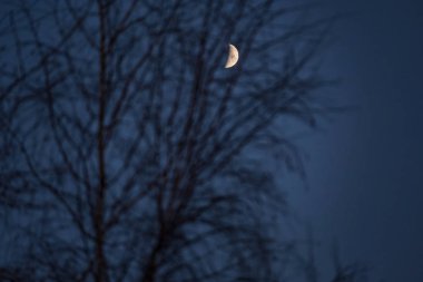 Ayın gece 2018 şubelerinde aracılığıyla