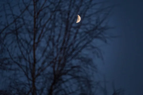 Ayın gece 2018 şubelerinde aracılığıyla