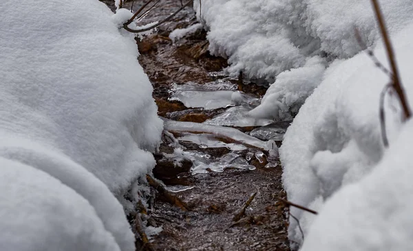 Zimowe Creek Kawałkami Lodu Lesie 2018 — Zdjęcie stockowe