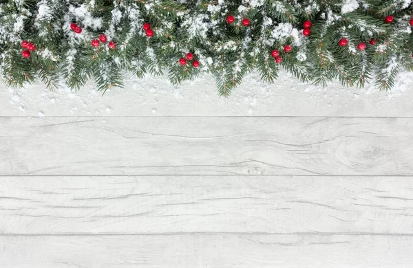 Kırmızı meyveler ve Fir Noel sınır kar ile kaplı 