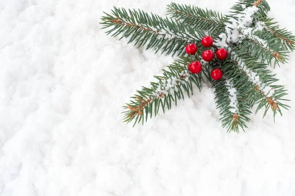 Noel ağacı çam dal üstünde kar Holly çilek ile — Stok fotoğraf