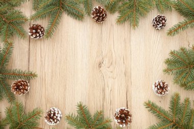 Noel çerçeve köknar ağacı Twigs ve çam kozalakları