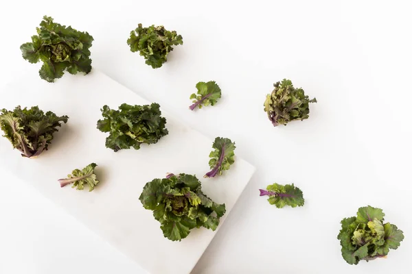 Kalettes beyaz mermer tahta üzerinde