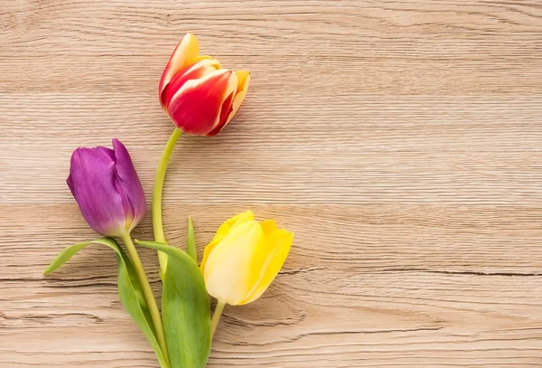Três tulipas coloridas em fundo de madeira marrom — Fotografia de Stock