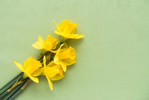 Arranjo de Daffodils em Fundo Verde — Fotografia de Stock