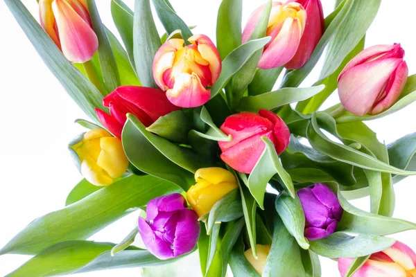 Buquê de tulipas arco-íris em fundo branco — Fotografia de Stock