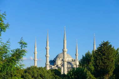 Ağaçların arkasında Mavi Cami Istanbul    