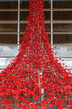 Poppies Galce Meclisi, Cardiff çağlayan