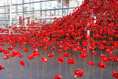Poppies Galce Meclisi, Cardiff çağlayan