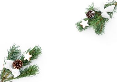 Fir Noel dekorasyonu ve tarçınlı yıldız Coo iki Twigs